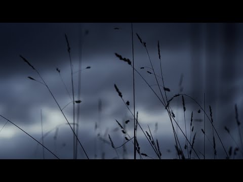 Days Off | A Short Biking Film