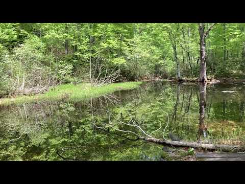 2021年5月20日 奥裾花自然園