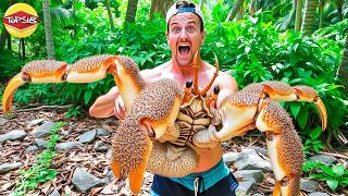 9 สัตว์ตระกูลครัสเตเชียนสุดอันตรายที่คุณไม่อยากเจอ!