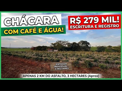Chácara à Venda em Japira-PR | Apenas 2 km do Asfalto, Água Própria e Lavoura Café R$279Mil