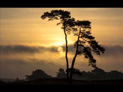 Tahiti - Voices Of Paradise - Dan Gibson's Solitude [Full album]