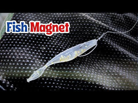 Ultimate Fish Magnet? Deps Sakamata Shad 2” Brings Nonstop Action!