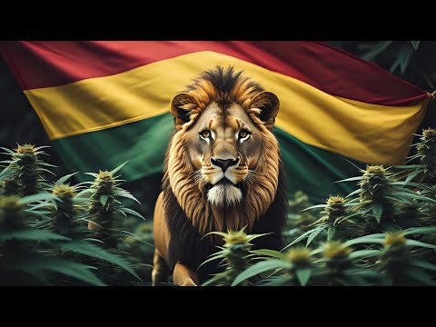 Journey through Jungle Cakes Ragga Jungle Drum & Bass Mix Vol  1