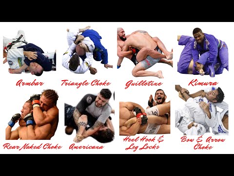 Every Jiu Jitsu Position EXPOSED in 15 Minutes (The Ultimate BJJ Breakdown!)
