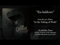 THE BURIAL En Hakkore Lyric Video