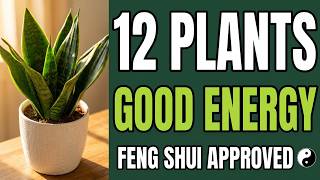 12 Air-Purifying Plants That Attract Good Energy Into Your Home