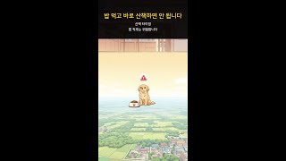 밥 먹고 바로 산책하면 안 됩니다 #Shorts