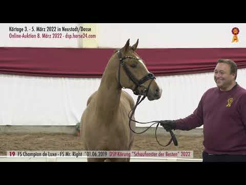 19 FS Champion de Luxe  - FS Mr  Right