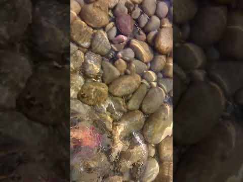 Beach 🏖 in surigao super clean and clear