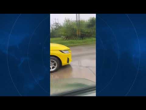 ACCIDENTES TENA - ALLYTV NAPO