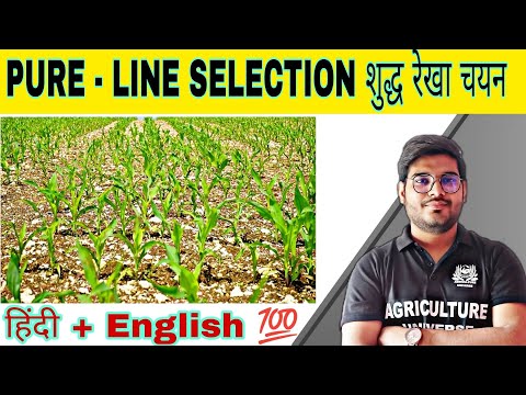 defination allopolyploid allopolyploid kya hai allopolyploid in hindi what is allopolyploid