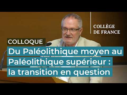 Du Paléolithique moyen au supérieur (9/9)