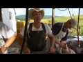 Food Inc 2008 Watch Free Documentaries Online 6