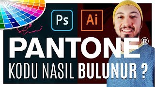 Pantone Renk Kodu Nasıl Bulunur? Adobe İllustrator ve Photoshop