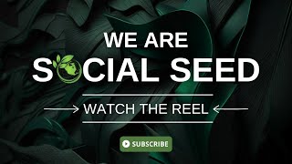 Social Seed - Video - 3
