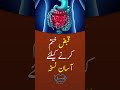 Qabz Ka Gharelu Ilaj Easy Constipation Remedies At Home Shorts
