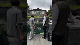 Download lagu The Big Fish Pond: A Paradise of Giants mp3