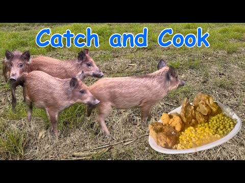 Trapping and Cooking Wild Pigs (Backyard Blowout) Cooking Pork 3 Delicious Ways