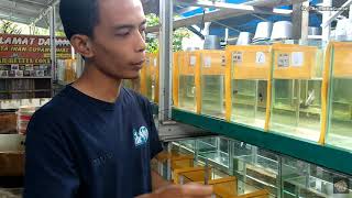 Download lagu HERE'S THE RECIPE TO KEEP FISH PERFORMING AT TOP PERFORMANCE mp3