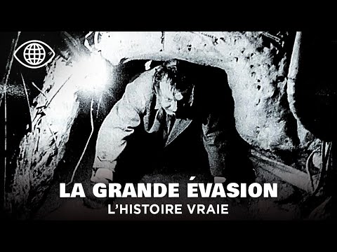 La véritable histoire de la Grande Évasion de 1944 – Documentaire Seconde Guerre mondiale - AMP