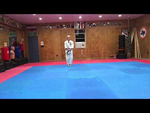 Okinawa Kenpo Passai