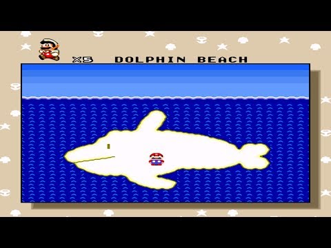 VLDCX | Dolphin Beach
