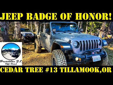 Off-Roading My New JL Wrangler on Jeep Badge of Honor Trail-Cedar Tree #13, Tillamook Oregon