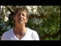 IWS 11 WMV