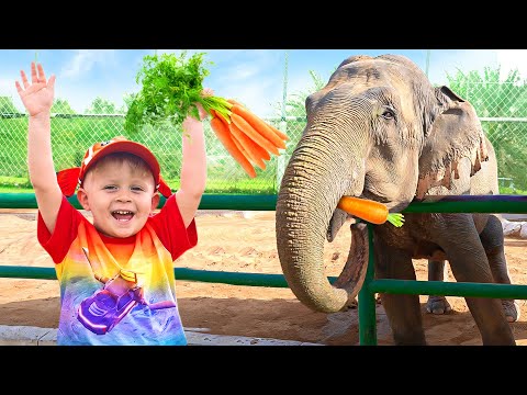 Keluarga Diana dan Roma di Kebun Binatang Emirates Park, Abu Dhabi