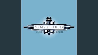 You Own Me - Sense Field