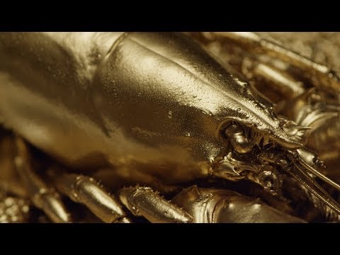 Jonas David - Stay For (Official Video)