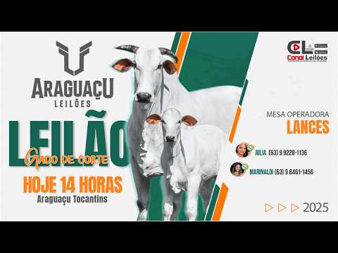 Leilão Gado de Corte Sind. Rural de Araguaçú | Araguaçú-TO 09/05/2026