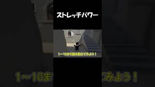 何かがおかしいストレッチマン#Short