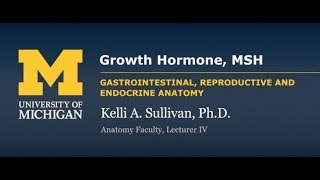 Endocrine System: Growth Hormone