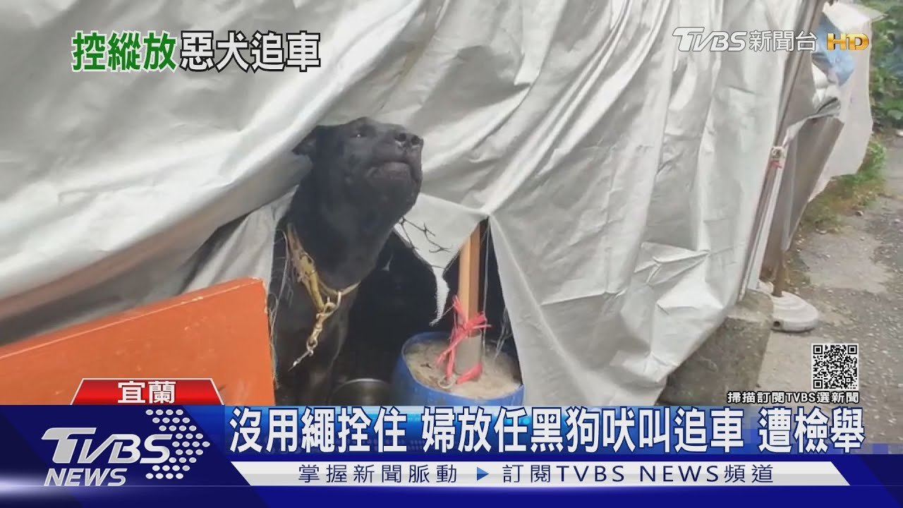 沒用繩拴住!婦放任黑狗吠叫追車 遭檢舉