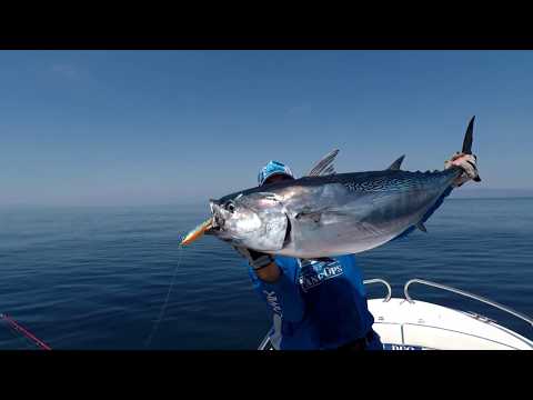 Off-shore with Aomasa