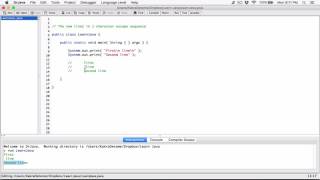 7. The new line( \n ) character / escape sequence - Learn Java