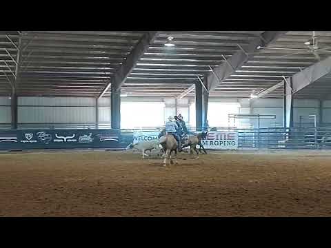 H Gober Roping Videos GOAT  10