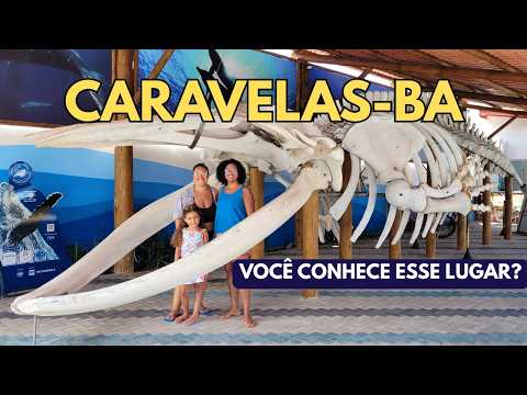 2º Dia de Viagem de Carro | 24h em Caravelas-BA (RJ até PE)