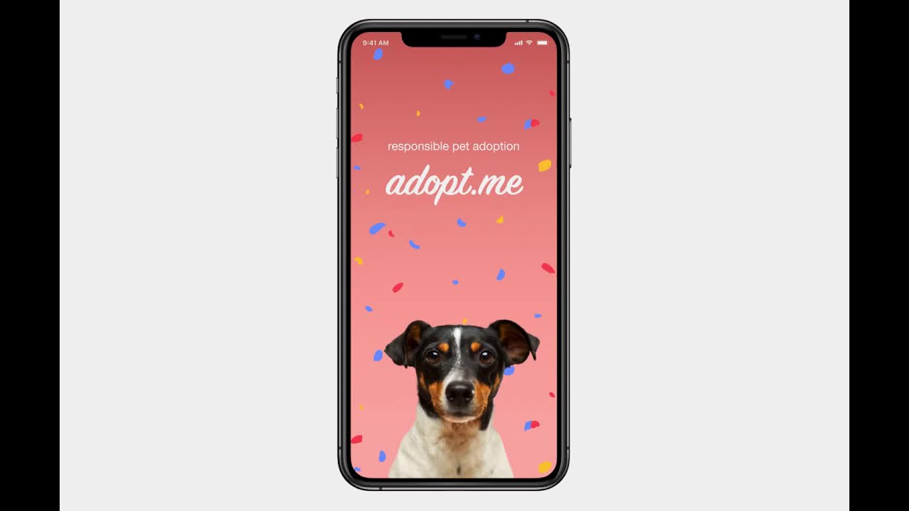 Pet Adoption App Login