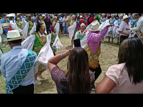 SOLEMNE FIESTA PATRONAL EN HONOR A VIRGEN PURÍSIMA DE  CAJAS-PAROBAMBA -POMABAMBA-ANCASH - 2025