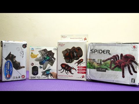 Amazing Ultimate Collection Of RC Rat ,Spider, Beetle , HONEY Bee and More- Chatpat tv