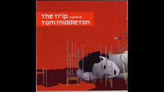 Tom Middleton - Sex Machine (remix)
