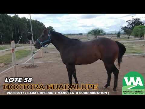 Lote DOCTORA GUADALUPE