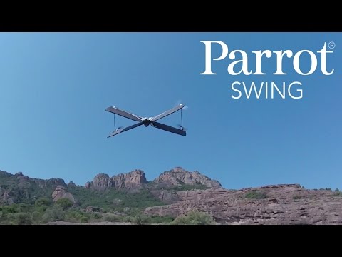 Parrot Swing with Flypad Controller