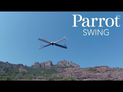 Parrot Video #1