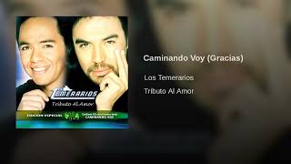 Los Temerarios – Caminando Voy Gracias (AUDIO)