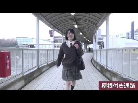 キャンパスライフレポートVol.2 明星大学に行ってきます！｜明星大学