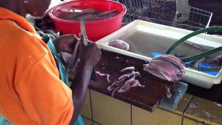preview picture of video 'Flying Fish Bridgetown Fish Market - Barbados'