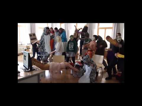 Harlem Shake HLW